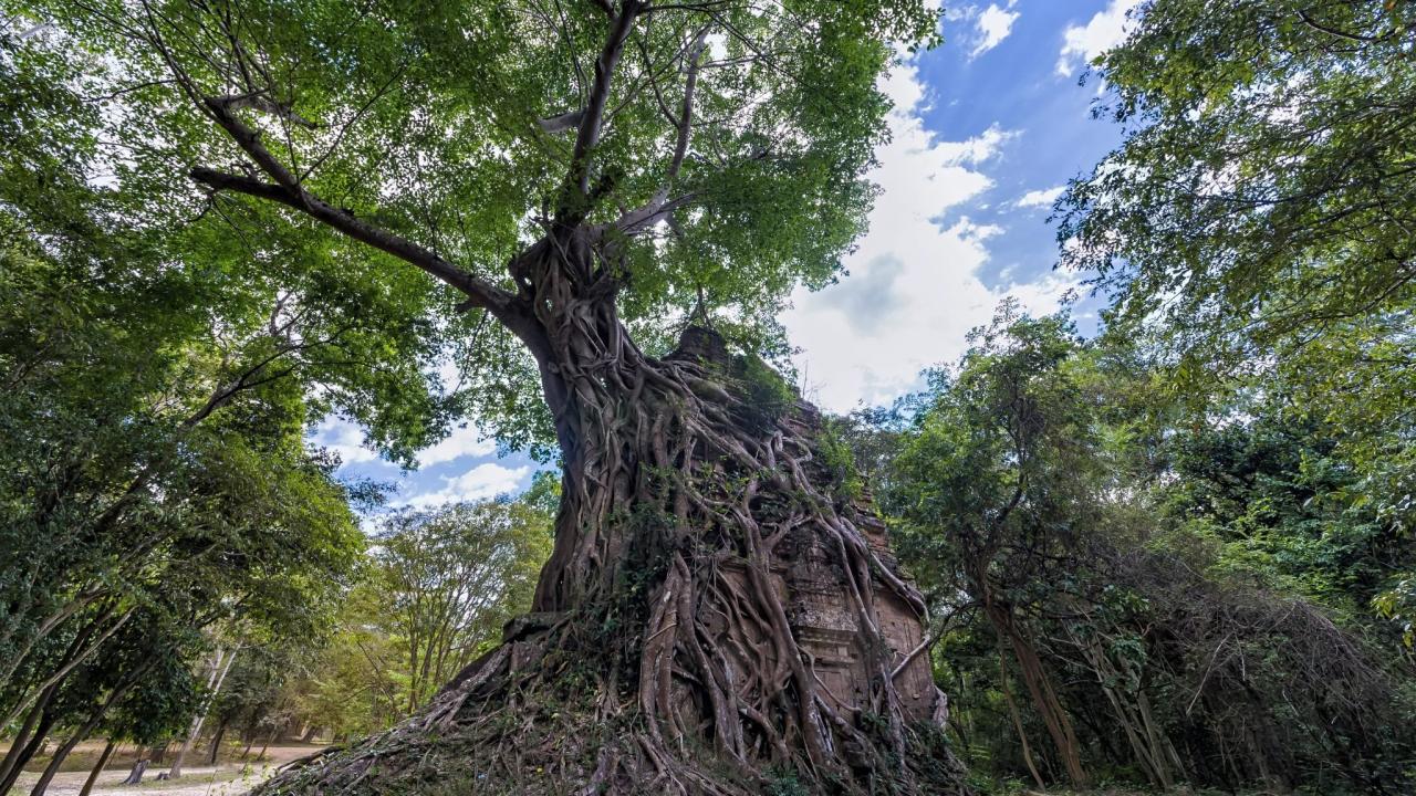 View of Daem Chrei Temple in Sambor Prei Kuk site, Cambodia. Sambor Prei Kuk is an archaeological site established by king Isanavarman I late 6th to 9th century as central royal sanctuary and capital