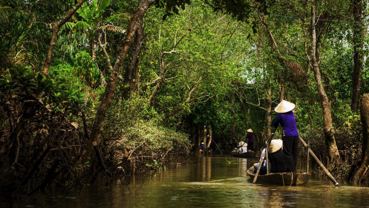 A ride in delta mekong