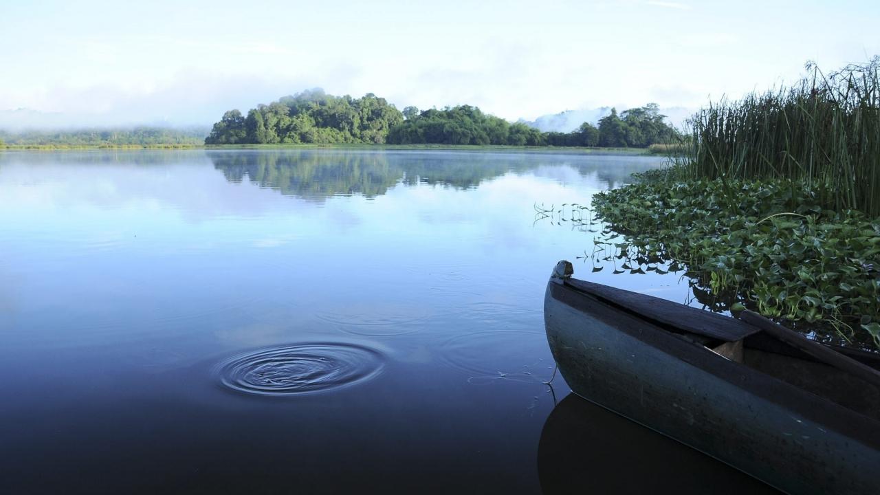 Cat Tien national park located in the south of Vietnam. It has an area of about 720 km2 and protects one of the largest areas of lowland tropical rain forests left in Vietnam.