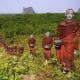 Statues of Buddhist Monks in the Forest, Mawlamyine, Myanmar