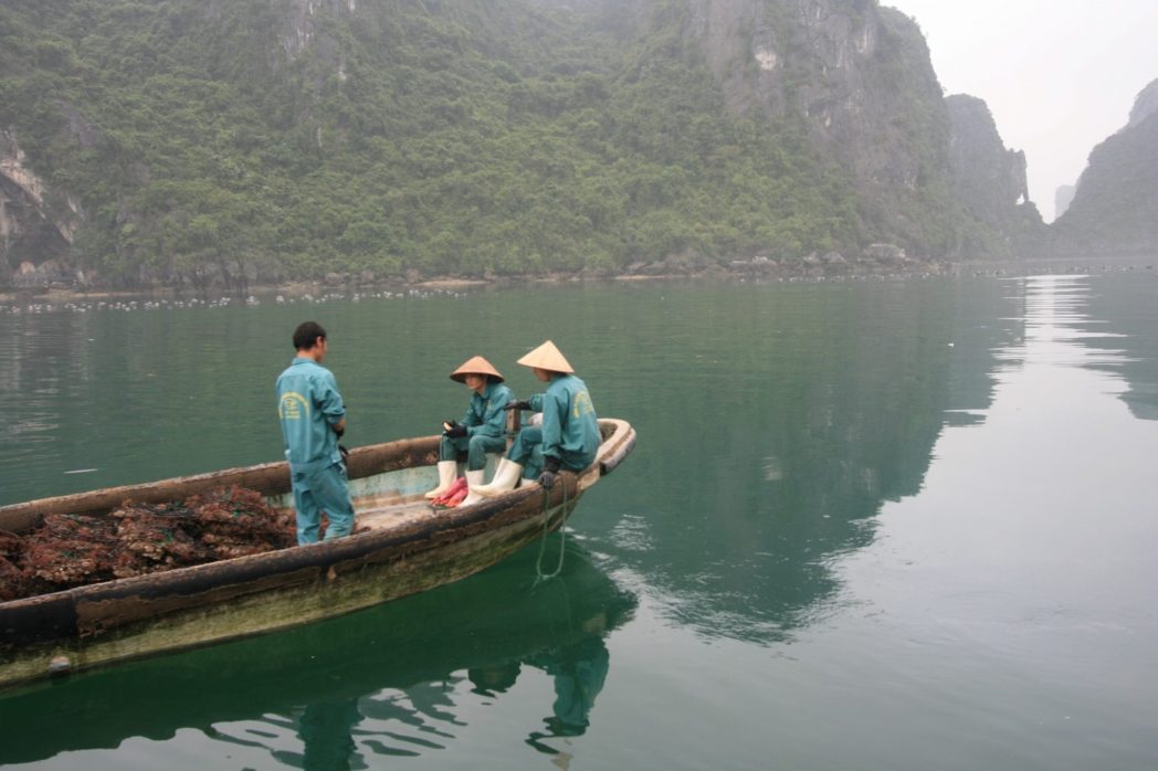 chase-collins-223665 halong bay