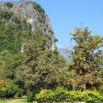 laos-2386085_1920 VANG VIENG