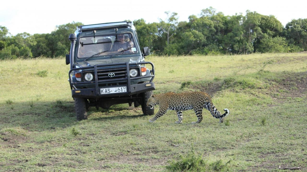 masai-mara-2741154