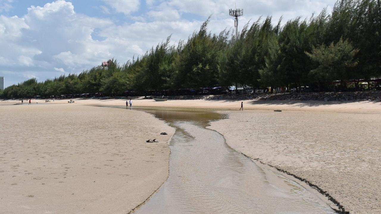 pine-trees-3142933_1920 Hua Hin