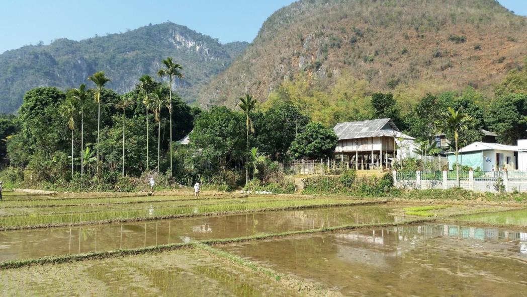 strabismus-2251547_1920 MAI CHAU HOA BINH