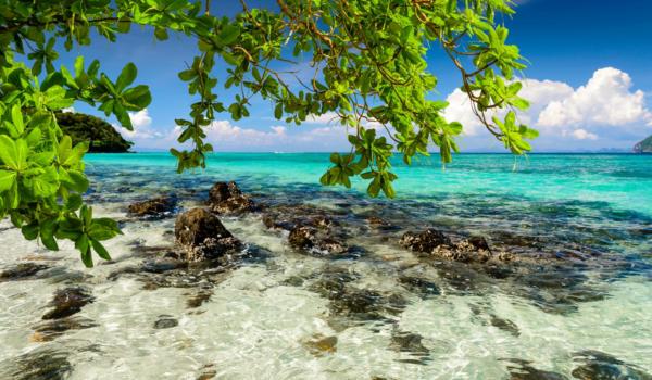 Beautiful tropical beach, rocks, exotic plant leaves and clear turquoise sea water. Photo from Ko Phi Phi Don, Phi Phi Islands, Krabi province, Southern Thailand.