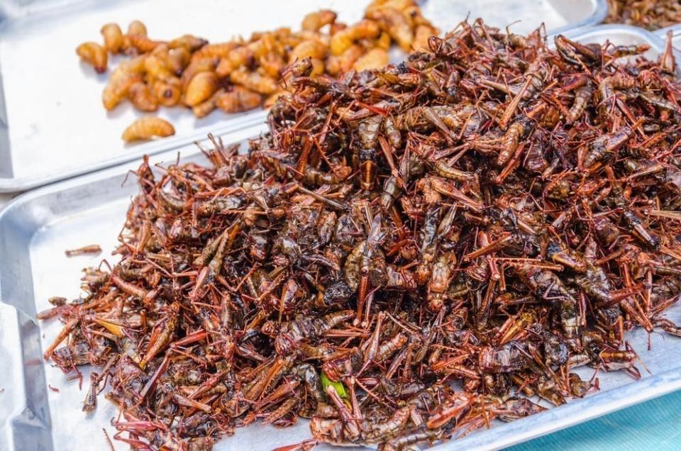 Fired locusts and worms on food market