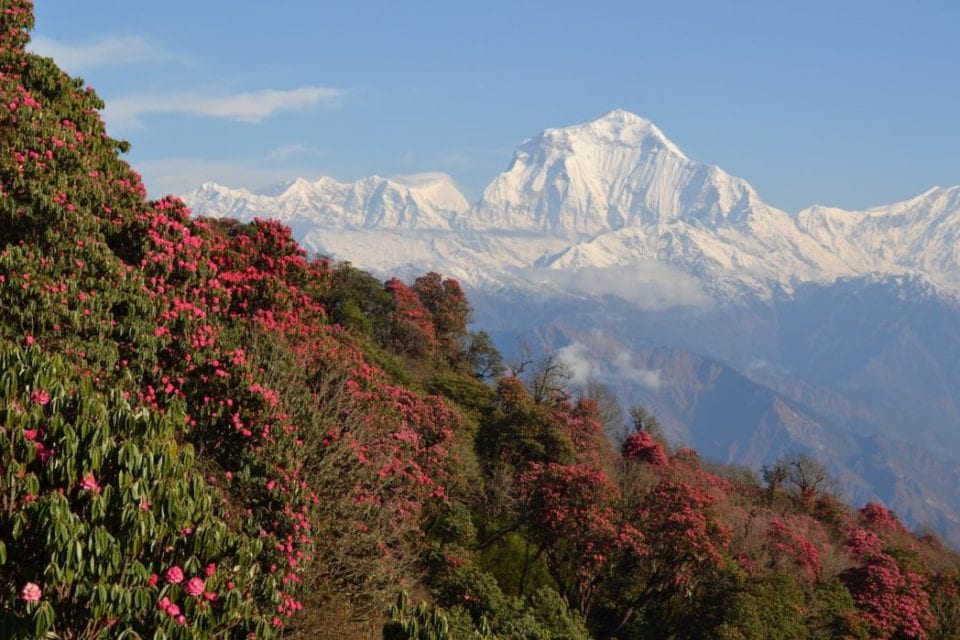 Poonhill, ghorepani trek